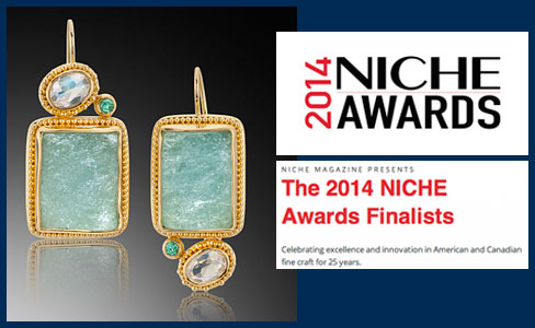 2014 NICHE Award