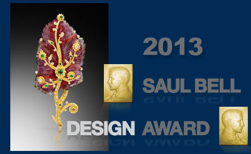 2013 Saul Bell Award